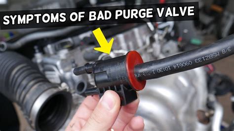 evaporative canister purge solenoid|9 Symptoms Of A Bad Canister Purge Valve & How。